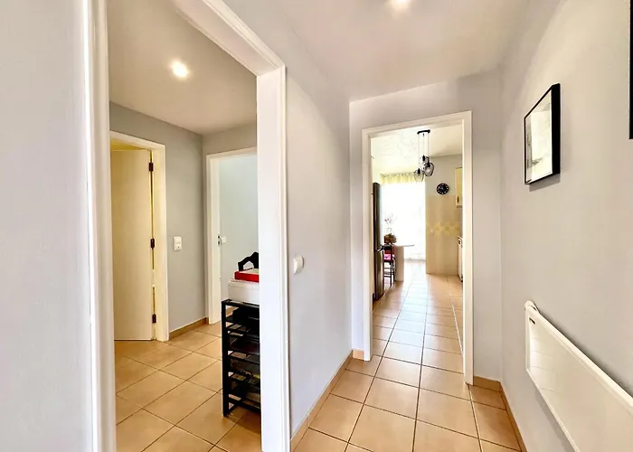 Sun & By Homing 라고스